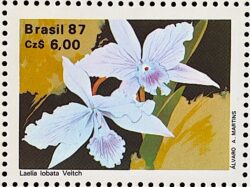 C 1573 Selo 50 Anos Sociedade Brasileira de Orquidofilos Flora Orquidea 1987