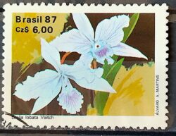 C 1573 Selo 50 Anos Sociedade Brasileira de Orquidofilos Flora Orquidea 1987 Circulado 1