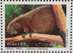 C 1592 Selo Fauna Mamiferos em Extincao Ourico Preto 1988
