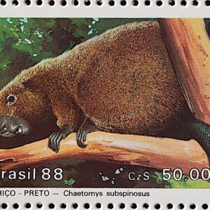 C 1592 Selo Fauna Mamiferos em Extincao Ourico Preto 1988