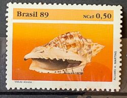 C 1645 Selo Fauna Brasileira Molusco 1989 2