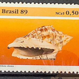 C 1645 Selo Fauna Brasileira Molusco 1989 2