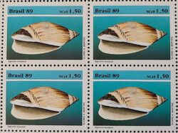 C 1645 Selo Fauna Brasileira Molusco 1989 Quadra Serie Completa