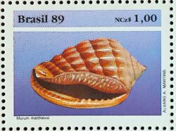 C 1646 Selo Fauna Brasileira Molusco 1989