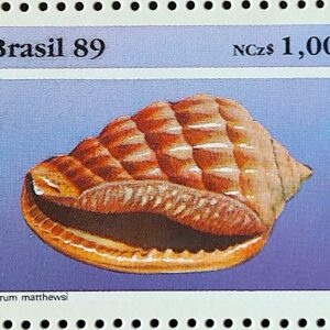 C 1646 Selo Fauna Brasileira Molusco 1989