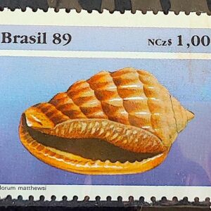 C 1646 Selo Fauna Brasileira Molusco 1989 Nao Mint