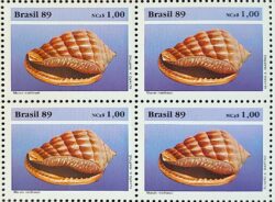 C 1646 Selo Fauna Brasileira Molusco 1989 Quadra