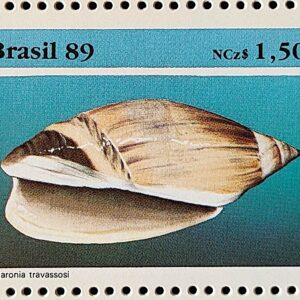 C 1647 Selo Fauna Brasileira Molusco 1989