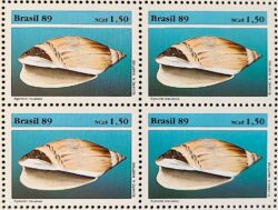 C 1647 Selo Fauna Brasileira Molusco 1989 Quadra