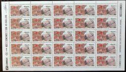 C 1742 Selo Turismo Pedra Pintada Roraima Mapa 1991 Folha