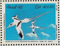 C 1776 Selo Conferencia Rio 92 Fauna Fernando de Noronha Ave Passaro Golfinho 1992 Serie Completa