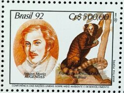 C 1796 Selo Expedicao Longsdorff Meio Ambiente Rugendas Macaco 1992