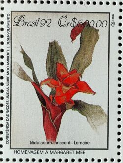 C 1805 Selo Conferencia Meio Ambiente Mata Atlantica Margaret Mee Nidularium 1992