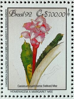 C 1808 Selo Conferencia Meio Ambiente Mata Atlantica Margaret Mee Canistrum 1992