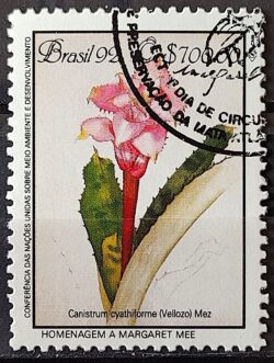 C 1808 Selo Conferencia Meio Ambiente Mata Atlantica Margaret Mee Canistrum 1992 Circulado 2