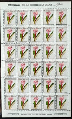 C 1808 Selo Conferencia Meio Ambiente Mata Atlantica Margaret Mee Canistrum 1992 Folha