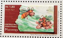 C 4029 Selo Insetos Beneficos Microvespa Mercosul 2021