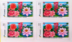 PB 196 Selo Personalizado Relacoes Diplomaticas Luxemburgo Flor Bandeira 2022 Quadra