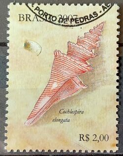 C 2691 Selo Conchas Maritimas 2007 Circulado 1