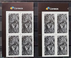 C 3831 Selo Chegada do Homem a Lua 2019 Quadra Variedade Picote