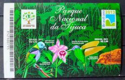 B 163 Bloco Parque Nacional da Tijuca Beija Flor Fauna Flora 2011 Furo de Grampo 1