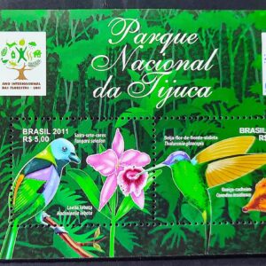 B 163 Bloco Parque Nacional da Tijuca Beija Flor Fauna Flora 2011 Furo de Grampo 1
