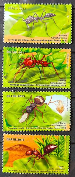 C 3280 Selo Formiga 2013 Serie Completa Separados