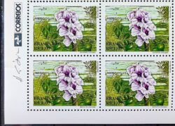 C 2439 Selo Flora do Mercosul Aguape Flor 2001 Quadra Vinheta Correios