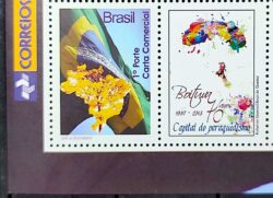 C 2854 Selo Personalizado Ipe Bandeira Boituva Paraquedismo 2013 Vinheta Correios