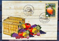 Maximo Postal Circuito das Frutas 2009 Cartao Postal Caqui