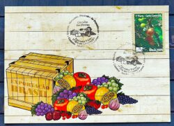 Maximo Postal Circuito das Frutas 2009 Cartao Postal Figo