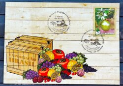 Maximo Postal Circuito das Frutas 2009 Cartao Postal Maracaja