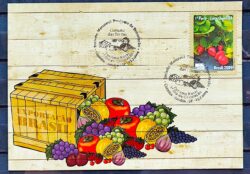 Maximo Postal Circuito das Frutas 2009 Cartao Postal Morango