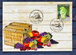 Maximo Postal Circuito das Frutas 2009 Cartao Postal Uva Niagara Branca