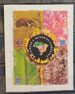 C 2203 Selo Parques Nacionais Incendios Florestais Tamandua IBAMA Mapa 1999