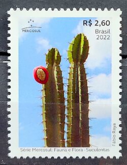 C 4071 Selo Flora e Fauna Suculentas Mercosul 2022