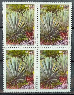 C 4073 Selo Flora e Fauna Suculentas Mercosul 2022 Quadra