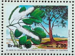 C 1665 Selo 40 Anos da Sociedade Botanica Sabia da Caatinga 1990