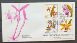 Envelope FDC 207 1980 Orquideas Brasileiras Flora CPD MG