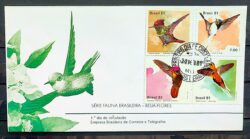 Envelope FDC 221 1981 Fauna Brasileira Beija Flor CPD MG