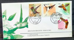 Envelope FDC 221 1981 Fauna Brasileira Beija Flor CPD SP 01