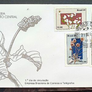 Envelope FDC 231 1981 Flores do Planalto Central CPD MG
