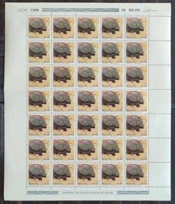 C 1093 Selo Parque Nacional da Amazonia Fauna Tartaruga 1979 Folha