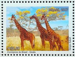 C 2712 Selo Zoologicos do Brasil Girafa 2007
