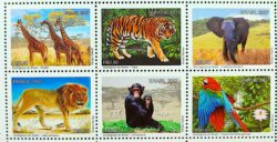 C 2712 Selo Zoologicos do Brasil Girafa Elefante Leao Macaco Arara Tigre Fauna Africa 2007 Sextilha