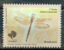 C 3687 Selo GeoPark Araripe Libelula Inseto 2016
