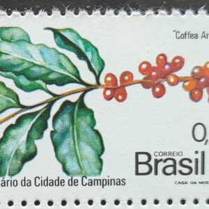 C 863 Selo Cidade de Campinas Cafe 1974