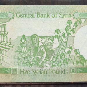 Cedula Siria 5 Pounds 1991 FE