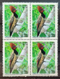C 2767 Selo Mercosul Pica Pau Lua Ave Fauna 2008 Quadra