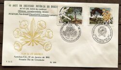 Envelope PVT FIL 002 1990 Sociedade Botanica Pau Brasil Ipe CBC CE 1